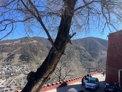 -五台山风景名胜区-罗睺寺