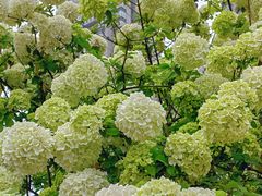 -大龙山(地铁站)