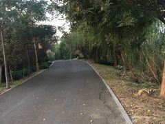 -梁鸿国家湿地公园