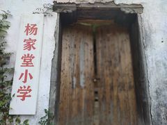 -杨家堂村