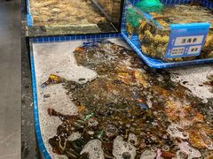 -东海怡品海鲜豆捞(舟宿夜江店)