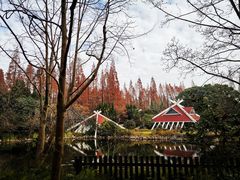 -东平国家森林公园