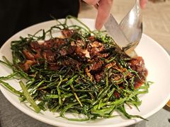 -新吉士·上海菜(浦东LCM置汇旭辉店)