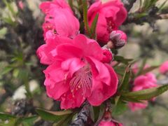 -白塘生态植物园