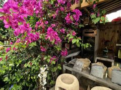 -田园印象·成都土菜院子(华阳店)