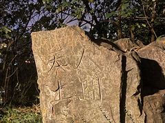 -惠山国家森林公园