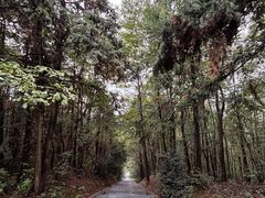 -冶父山国家森林公园