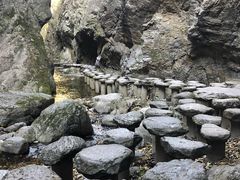 -牛背梁国家森林公园