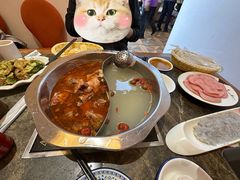 -铁真·刨冰红焖羊肉·正宗老字号