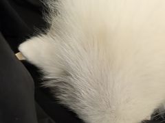 -怪兽屋·羊驼·猫咖·狗咖(俊华广场店)