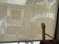 -半岛宠物医院24小时(白果林店)