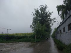 -活死人墓