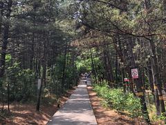 -帽儿山风景区