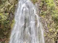 -姑婆山旅游区