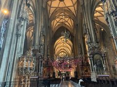 -斯蒂芬主教座堂(Stephansdom)