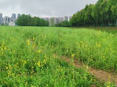 -汉江湾体育公园