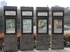 -重庆彩云湖湿地公园