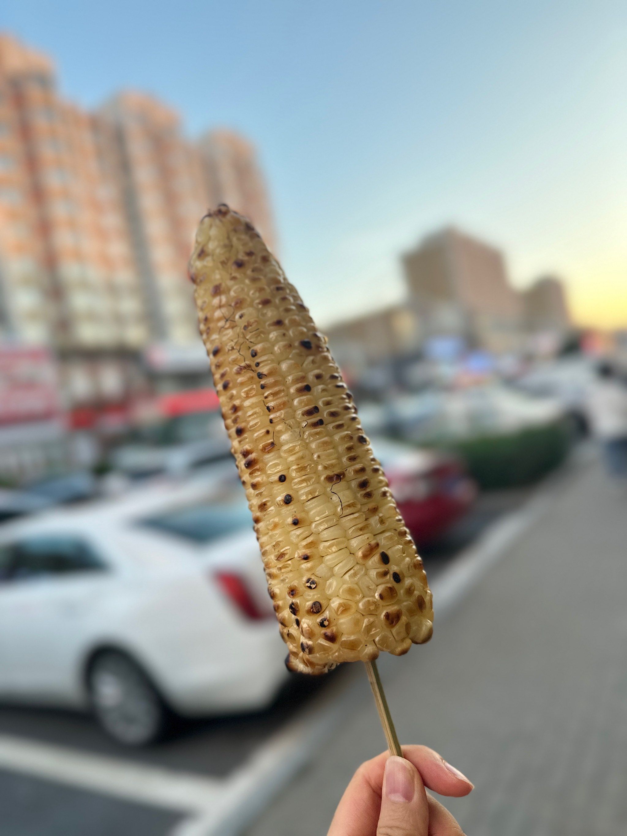 烤玉米选白粘甜呀