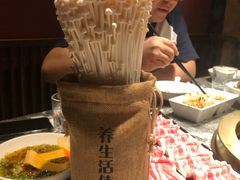 -麻路成都火锅(柏威年店)
