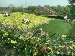 -卓玥国际月子会所(罗山路店)