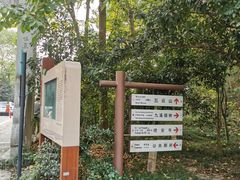 -西湖风景区十里琅珰-五云山