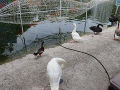 -北京鹿世界主题园