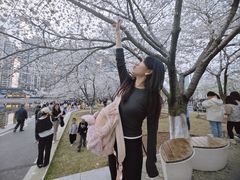 -西北湖绿化广场