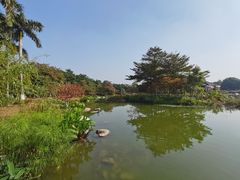 -海珠湖公园