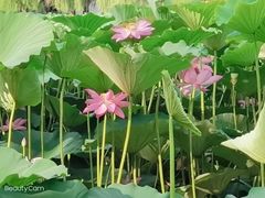 -长春市南湖公园