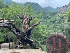 -龙湾潭国家森林公园