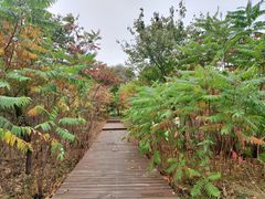 -长春世界雕塑园冰雪艺术天地