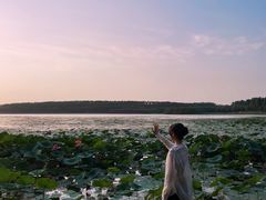 -丁香湖公园