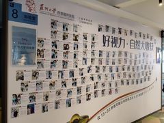 -苏州大学理想眼科医院