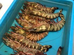 -ZF Seafood Restaurant 卓峰海鲜餐