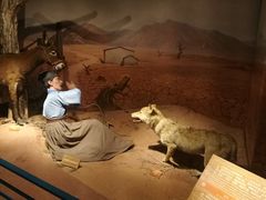 -陕西自然博物馆