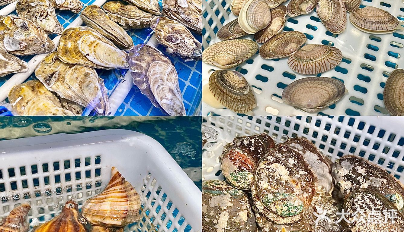 平价烤肉店🥓海鲜爱好者必冲的碳烤多宝鱼‼️