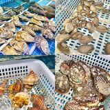 平价烤肉店🥓海鲜爱好者必冲的碳烤多宝鱼‼️