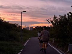 -金银湖国家城市湿地公园