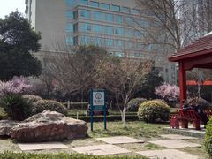 -西京医院