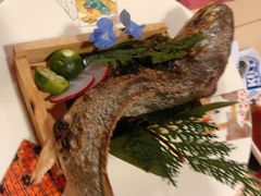 备长炭烤石持鱼-鸟山鸣·日料食堂(王府井店)