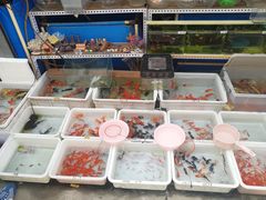 -白纸坊建功北里百姓生活服务中心·佳果多生鲜超市