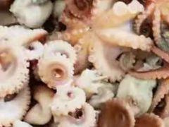 -宾朋海鲜美食特色餐厅·纯手工鲅鱼水饺(兴海路店)