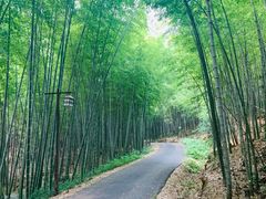 -苏州环秀晓筑养生度假村