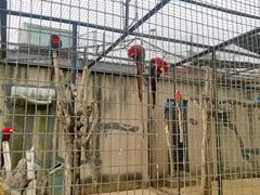 -石家庄市动物园