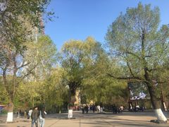 -哈尔滨文化公园