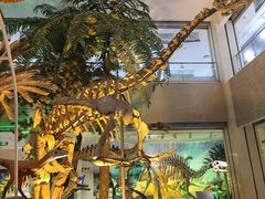 -甘肃地质博物馆