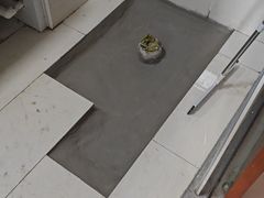 -清真·同发顺饭庄·烧麦(总店)