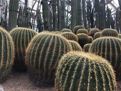 -南山植物园