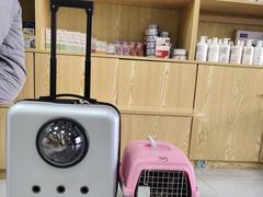 -中农大我爱我爱动物医院·核磁CT·猫病·24小时夜诊中心(石佛营店)
