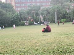 -东风公园